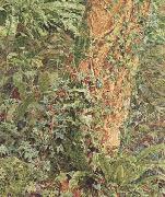Albert Joseph Moore,ARWS Study of an Ash Trunk (mk46) oil painting